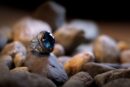 Lucifer Silver Ring