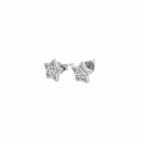 Star Shaped Leaf Inside Earrings